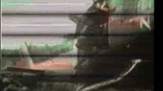 TV WAR (War) - Ryuichi Sakamoto & Radical TV