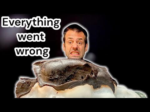 Lost Wax Casting: Molding a Bear Skull 