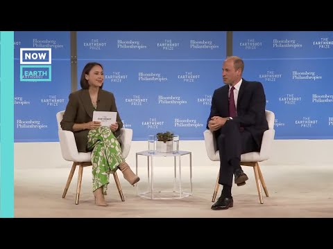 Prince William Attends the Earthshot Prize Innovation Summit
