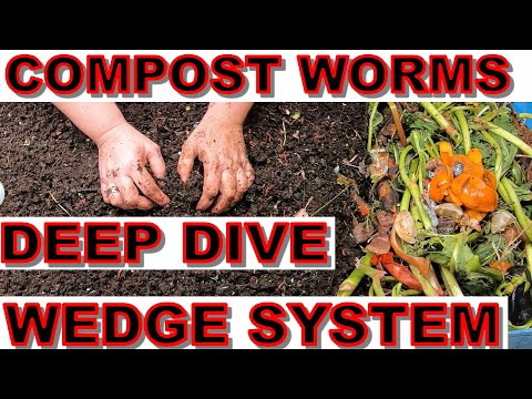 55 Gallon Worm Bin WEDGE Method DEEP dive