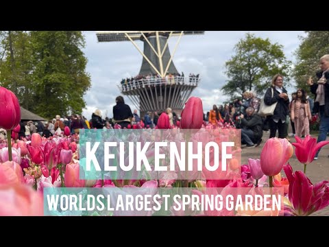 Keukenhof 2022/ world’s largest spring garden#flowers#tulip#fyp #2022#nature#beautiful#garden