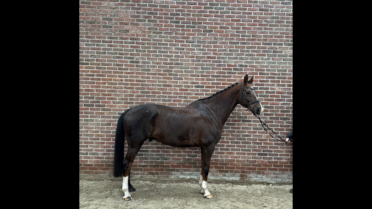 Kunta Kinte (NEGRO x JAZZ) video 1