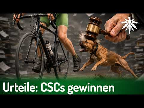 Video Thumbnail: Urteile: CSCs gewinnen in BaWü & Thüringen | DHV-News # 518