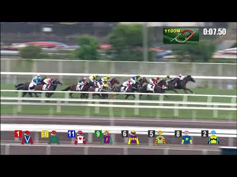 十二馬   21/05/02……(641)第十塲三班1200米