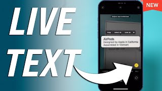 How to Copy and Paste Text from Image on iPhone