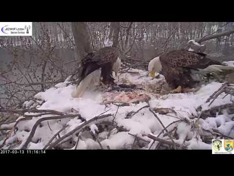 The Trio Eagles - A full house - 03-13-17