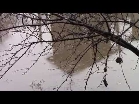 Ciochiuța 10.dec.2014