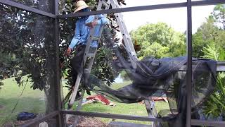 Pool Enclosure Painting and Re-Screening - Parrish FL - Part 4
