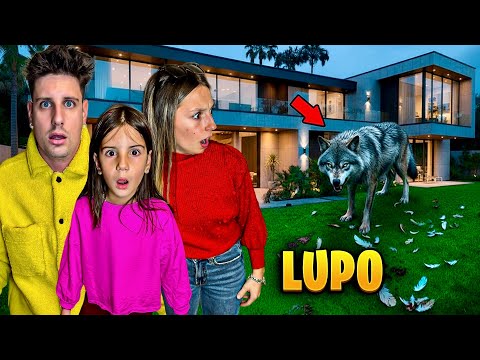 AURORA SCOPRE CHE UN LUPO È ENTRATO NELLA NOSTRA NUOVA CASA E PAPÀ MIKE E LAURA CHIAMA LA POLIZIA!