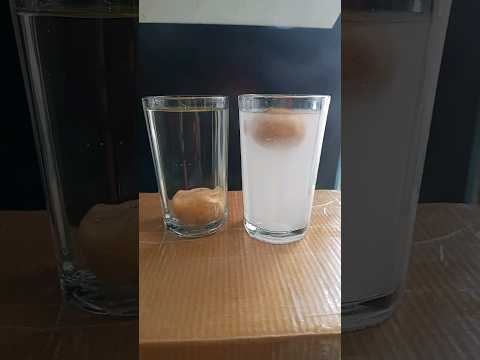 salt water and potato experiment #schoolexperiment #experiment #scienceexperiments