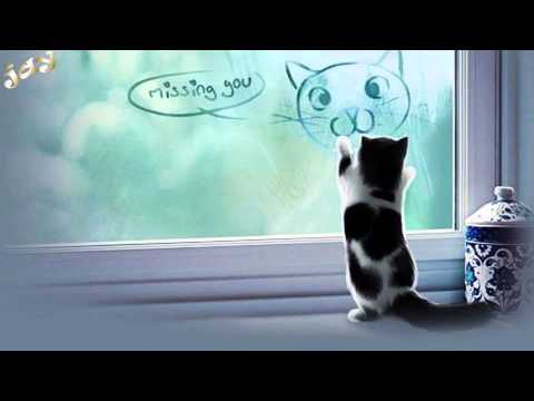 chơi vơi trong cơn đau - Dương Triệu Vũ | Jay Nguyễn - Lyrics [HD Kara+Vietsub]