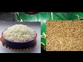 Budgies Summer Diet Detail And Soft Foods Love Birds Ku Garmi Ke Mousam Me Kiya Khilana Chaye