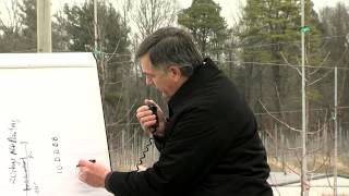 The New Tall Spindle Apple Orchard System: Field demonstration lecture