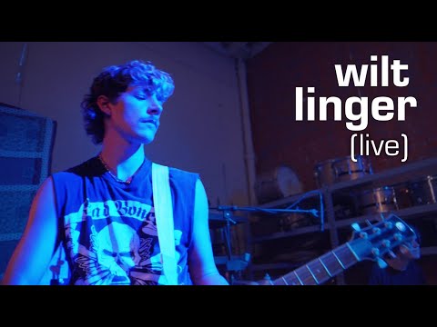 wilt - linger (cranberries cover)