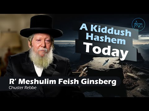 A Kiddush Hashem... Today | Rabbi Meshulim Feish Ginsberg, Chuster Rebbe
