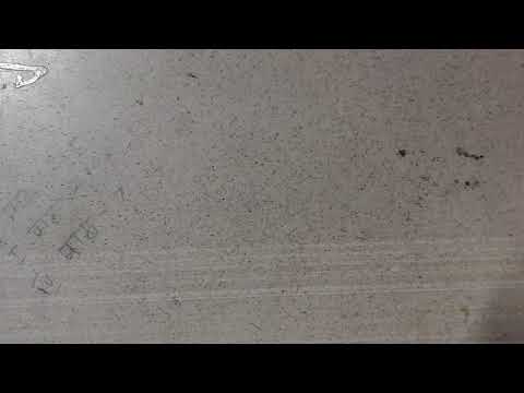 Hindi, Urdu, Hindustani and dakkhini , Praveen uttarardh.