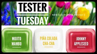 Tester Tuesday Round 5 - New Scentsy Spring Summer Scents 2019