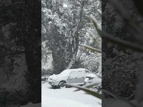 Increíble nevada de Domingo en Villa La Angostura❄️🥶 #nieve #villalaangostura #invierno #patagonia