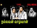 Nallavan Vazhavan Tamil Full Movie HD M G Ramachandran Rajasulochana Tamil Movies