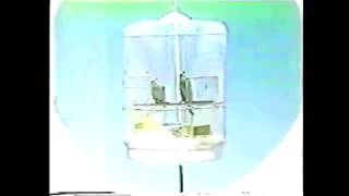 Cornelius 『夢の奥で』Inside a Dream