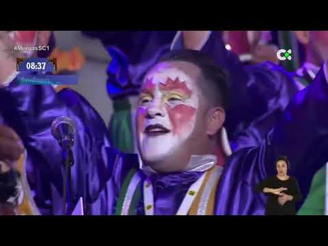 Murga Los Bambones 2019 - "Los Ofendidos" [PREMIO CRITICÓN]