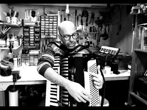 Dallapé Organtone II - Double Tone Chamber - high end accordion. fully tuned  at our shop