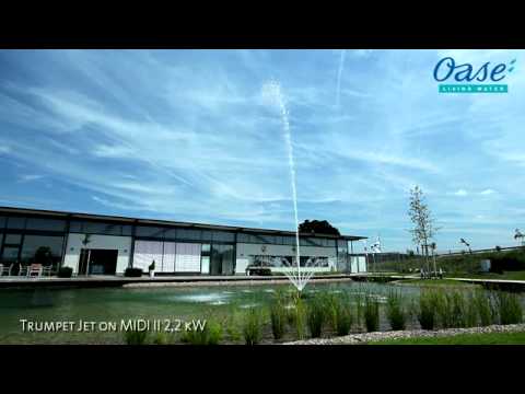 Watch Video on YouTube