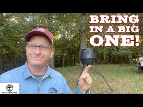 I Hate DEER Meat So I Bought A Moultrie Standard Deer Feeder 🦌