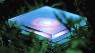 The Durutti Column - For Belgium Friends (Late Night Tales: MGMT)