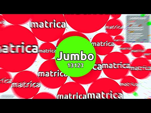 The Most Satisfying Agar.io Video!