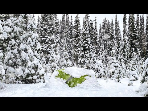 WINTER CAMPING in a SNOWSTORM! | Mountain Snow Camping/Backpacking in Winter Storm