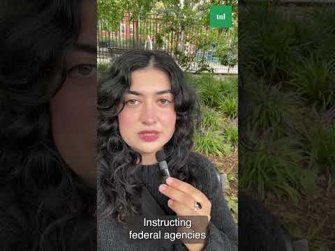 WATCH: Regenerative agriculture explained – Insights from Climate Week NYC