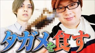 【閲覧注意】タガメを罰ゲームでもないのに丸ごと食べてみた【ブックオフCM風】
