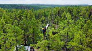 ClearView Satellite Solutions  - Starlink dish tree installation