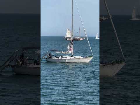 Santa Barbara Harbor | Sailboats | Stearns Wharf