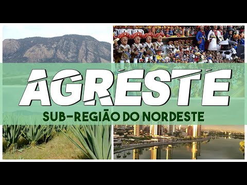 As sub-regiões do Nordeste: Agreste