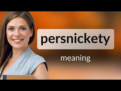 Persnickety — what is PERSNICKETY meaning