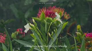 Download lagu Mazha whatsapp status mp3 Download lagu Mazha whatsapp status mp3