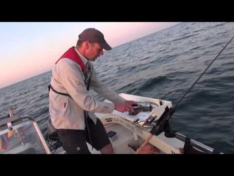 Verarbeitung Plattfisch