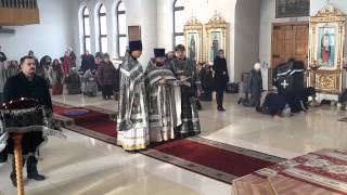 АРХИЕРЕЙСКОЕ СЛУЖЕНИЕ