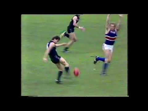 1984 Round 11 Highlights VFL