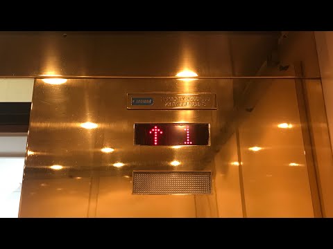 Dover SPF Elevators at 1650 King St, Old Town - Alexandria, VA