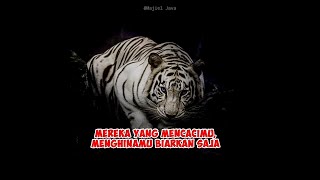 Download lagu Story Wa Macan Putih - Prabu Siliwangi - ( Part 3 Terbaru ) mp3