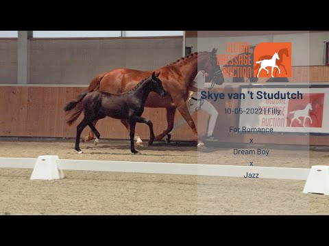 Skye van 't Studutch