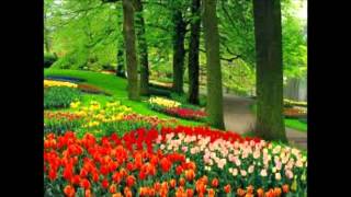 Los Nocheros - Soy Como Soy