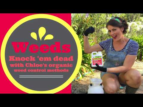 download lagu mp3 mp4 Organic Weed Spray Nz, download lagu Organic Weed Spray Nz gratis, unduh video klip Organic Weed Spray Nz