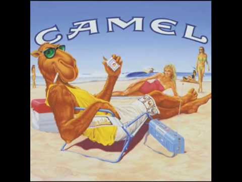 Mancora - Camello