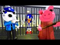 Roblox Piggy Sonic Trapped In Jail Funny Cartoon Story Animation By CraftTastic