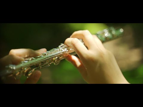 BETA Quartet - Nuraghi Warriors Dance (Official Music Video)