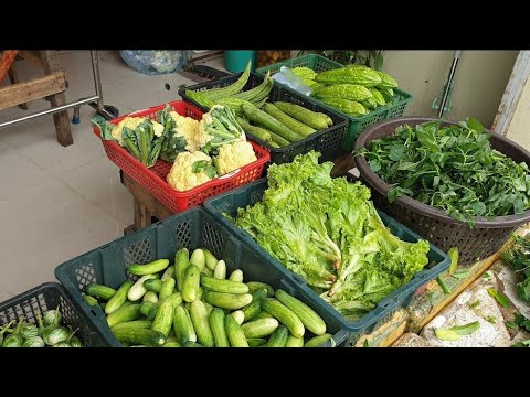 Natural Life - Life in Cambodian Market - Asian Street Food Market